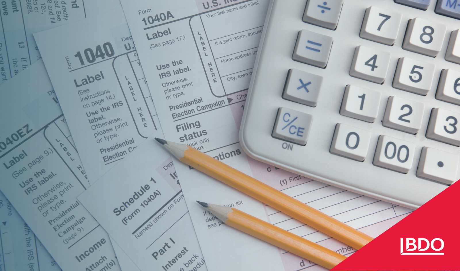 Tax Expert