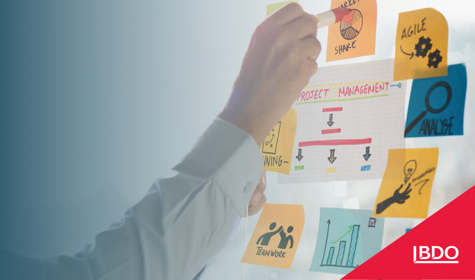 Project Management Professional (PMP)